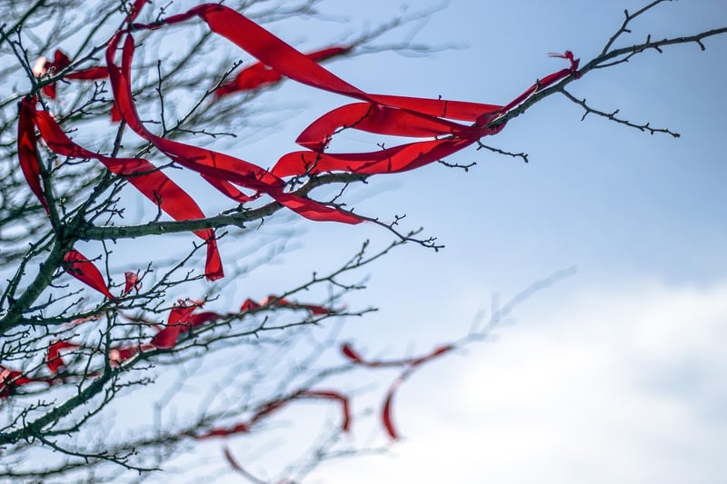 Wishing Tree Image